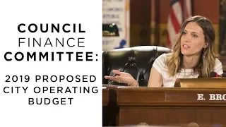 Council Finance Committee: 2019 Proposed City Operating Budget Briefing