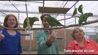 Hands on Parrot Training Workshop - Oh the things you can learn!