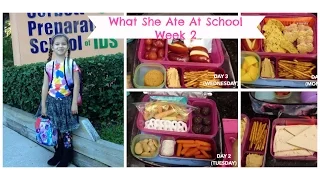 Week of Lunches & What She Ate!