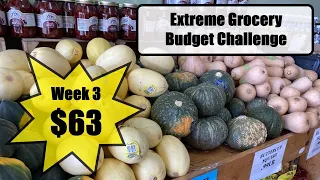 VEGAN Family Meals $63 a week / EXTREME $250 Grocery Budget Month Challenge WEEK 3