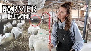 Little Bo Peep CAN'T CATCH HER SHEEP!!  Vlog 369