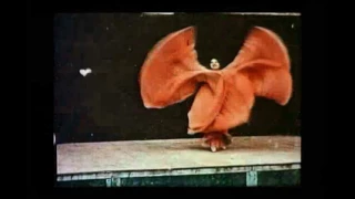 Serpentine Dance - The Lumière Brothers' Short Film