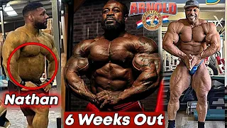 2022 Arnold Classic - 6 Weeks Out All Latest Updates !!