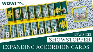 💥Fantastic NEW SIZE💥 Expanding Accordion Cards