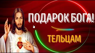 ♉БОЖЕСТВЕННЫЙ ПОДАРОК ЖДЁТ ТЕЛЬЦОВ! ГОТОВЬТЕСЬ!  ТАКОЕ БЫВАЕТ РАЗ В ЖИЗНИ!