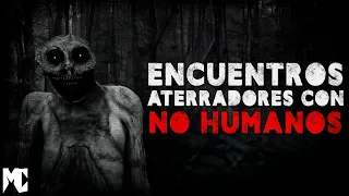 Relatos de encuentros ESPELUZNANTES con No-Humanos II │ Relatos del público