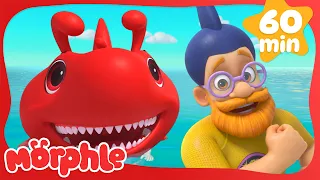 Morphle Is A Shark | MORPHLE 🔴 | Old MacDonald's Farm | MOONBUG KIDS | Animal Cartoons for Kids