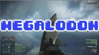 Megalodon!