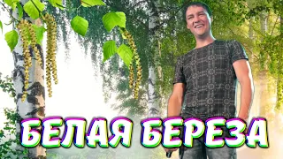 Белая берёза - с нотками голоса Юрия Шатунова (Нейротрек)