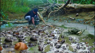 OMG! Amazing Catching Crab, Snails In Lake When dry Water, A Giant Fisherman Catching A lot Today