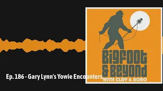 Ep. 186 - Gary Lynn's Yowie Encounters | Bigfoot and Beyond with Cliff and Bobo