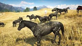 RDR 2 | BLACK APPALOOSA HORSE | BEST HORSE TAMER | JOHN MARSTON