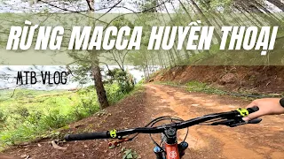 Đạp xe xuyên rừng Macca Đà Lạt