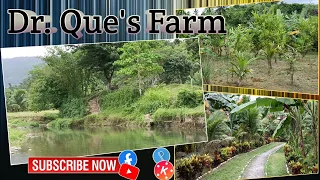 Visiting Dr. Que's Farm in Bigaa, Virac, Catanduanes