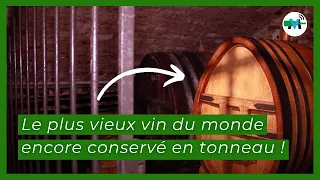 Le plus vieux vin du monde encore conservé en tonneau !