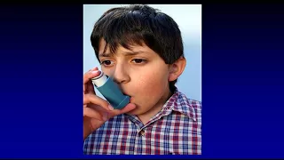 Solving the Puzzle of Asthma Disparities