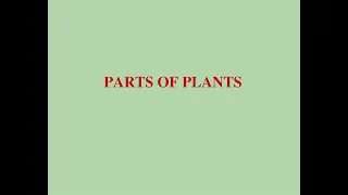 PARTS OF PLANTS | EVS