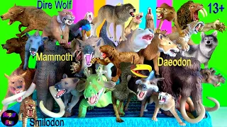 NEW Dire Wolf, Wolf, Wolves, Mammoth, Smilodon, Prehistoric Mammals, Megafauna 13+