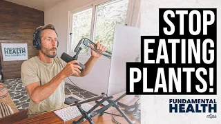 Stop eating plants! The basics of an animal based diet