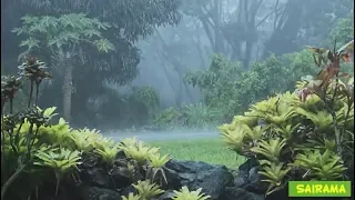 Lluvia en la selva con flautas indígenas y tambor chamanico, música relajante