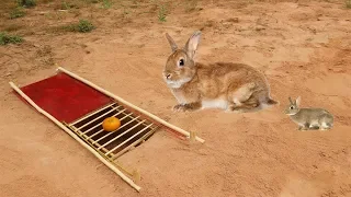Amazing Man Make Quick Rabbit Trap Using Big Wood & Deep Hole ( Works 100% ) - Best Rabbit Trap