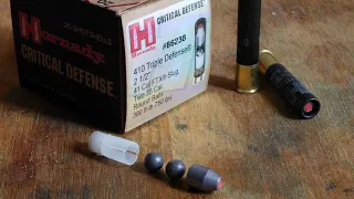 Hornady Triple Defense 410 Ammo Test