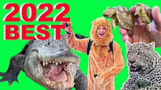 Alligators, Baby Tortoises, Snapping Turtles, & Safari: Best Of 2022!