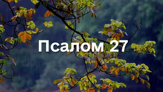 Псалом 27 під звуки дощу та спів пташок, для відпочинку та відновлення, сучасною українською мовою