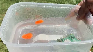 Fire & Water Pyro Putty Water Test