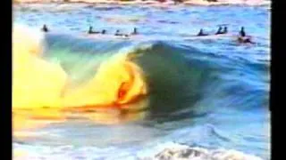 monkeys bodyboard video