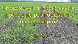 Фітотоксичність протруйників: про що не розповідають на семінарах