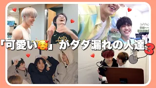 お互いが可愛くて仕方がないNCT DREAM集3【日本語字幕】