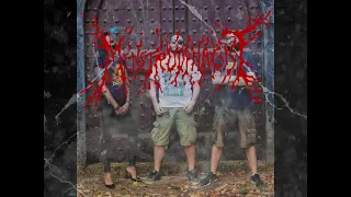 Menstruophagist - Bee porn (Death metal - grindcore)new single 2022