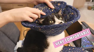 I made my cat soft recovery cones for his surgery