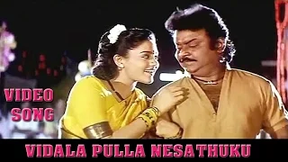 Vidala Pulla HD Song | Periya Maruthu | Vijayakanth Ranjitha