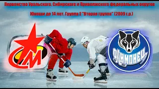 Первенство УрФО по хоккею 2009 г.р. Металлург г.Серов - Олимпиец г.Сургут