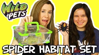 Wild Pets Spider Habitat Review