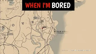 When I'm Bored, I Do Stuff Like This - RDR2