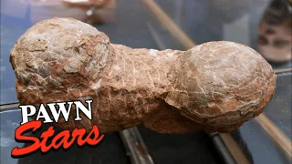 'Are These REAL Dinosaur Eggs?!' 60 Million Year Old Treasure! | Pawn Stars (Season 9)