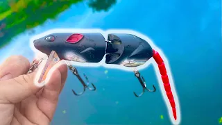 Topwater fishing with a MASSIVE Rat Lure! Spro BBZ-1