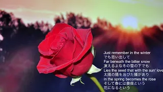 The Rose （ローズ）Bette Midler ベット ミドラー　　作詞 作曲：Amanda McBroom