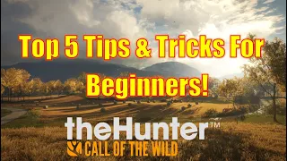 Top 5 Tips & Tricks For Beginners In The Hunter Call Of The Wild!