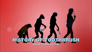 toothbrush made out of hair? The history of the toothbrush