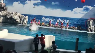 Dolphin show at Bangkok safari world | ব্যাংকক সাফারি ওয়ার্ল্ড এ ডলফিনের নাচ