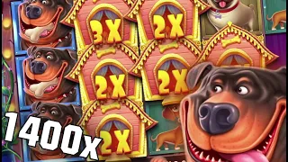 Dog House JUICY 1400x Win!