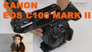 Кинокамера Canon EOS C100 Mark II