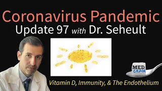 Coronavirus Pandemic Update 97: Vitamin D & COVID-19 Immunity, The Endothelium, & Deficiencies