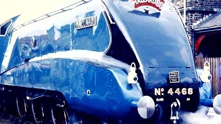 Mallard 4468 Steam Train 1988