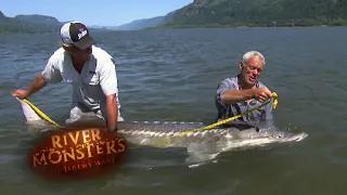 One Of Jeremy Wade's Largest And Heaviest Catches Ever | STURGEON | River Monsters