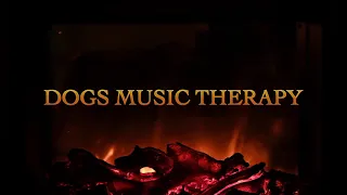 Kiwi & Katya Chilly (Wagashi Brothers Remix) - Dogs Music Therapy edit